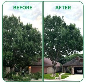 Screenshot_20241102-171310_Amazon Shopping.jpg