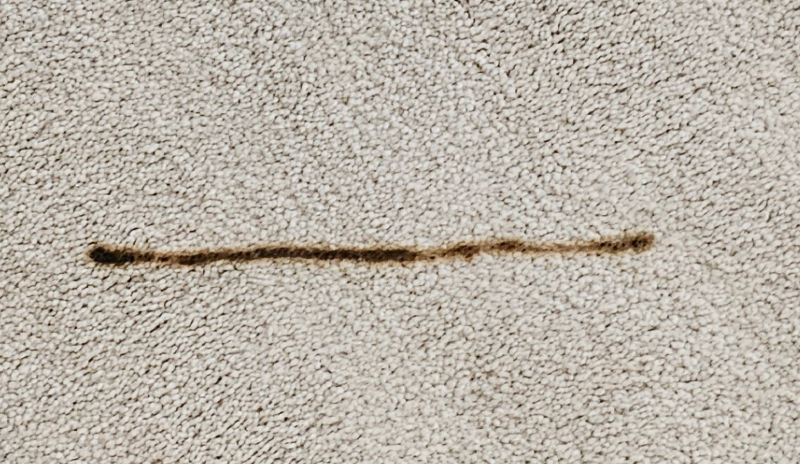 carpet damage.PNG