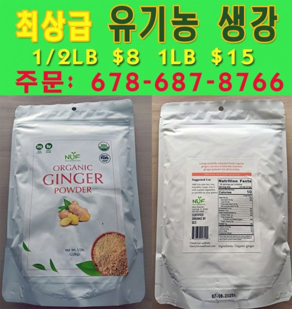 ginger artwork copy (1).jpg