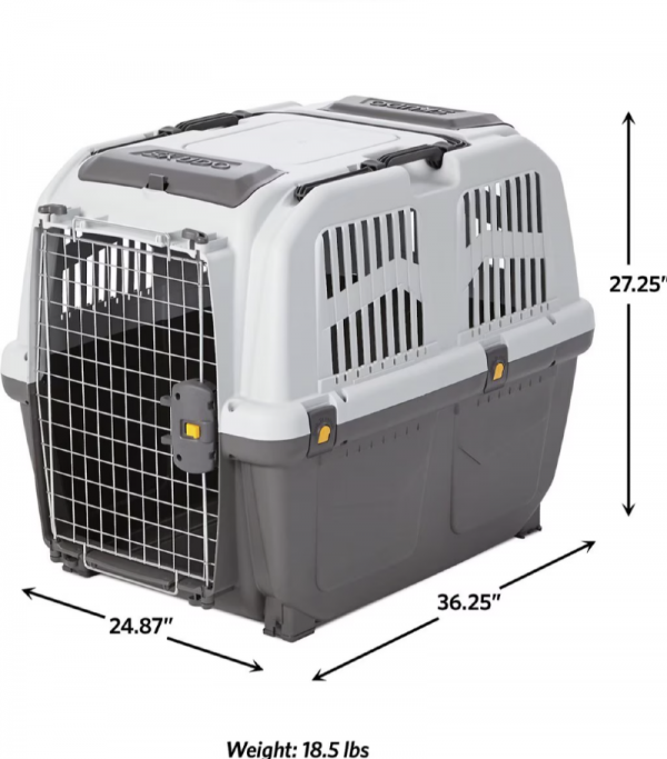 Screenshot 2025-03-17 095657.png