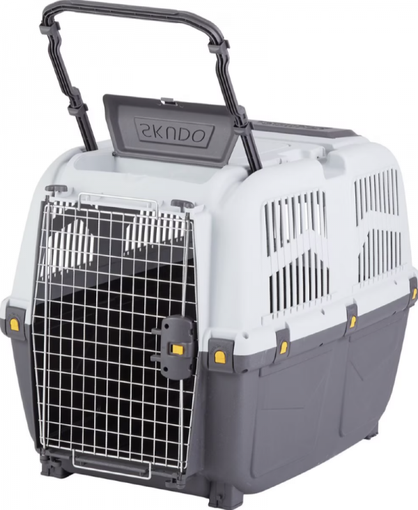 Screenshot 2025-03-17 095728.png