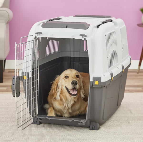 Screenshot 2025-03-17 095401.png