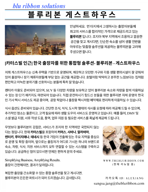 blu Ribbon solutions-4.png