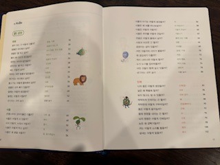 와이즈2.jpeg
