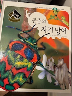 image4.jpeg