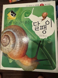 image5.jpeg