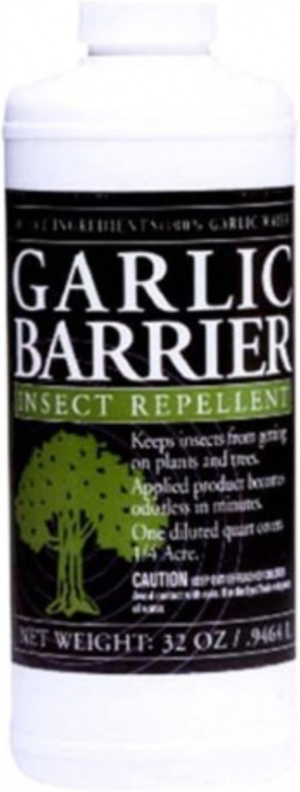 garlic.jpg