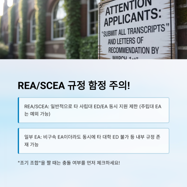 7_REASCEA.png
