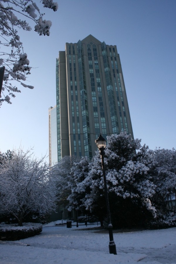 Image - 2025-08-27T154029.861.jpg