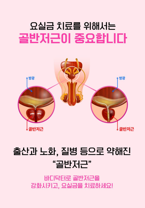 바디닥터4.png