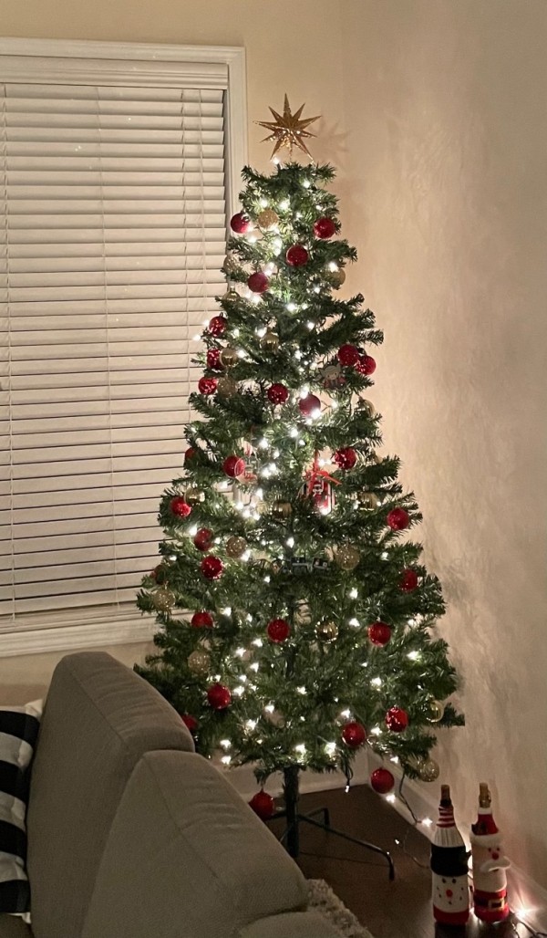 unknown 2 Large.jpeg