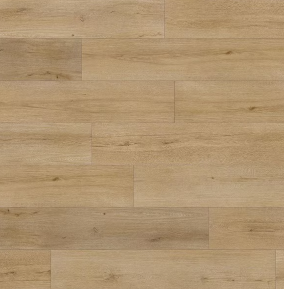 Screenshot 2026-01-26 144935.png