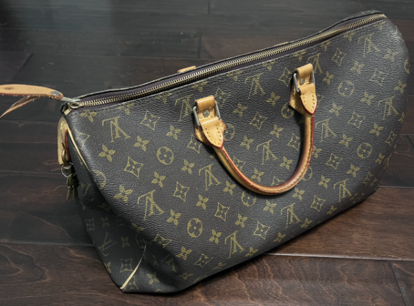 LV bag.png
