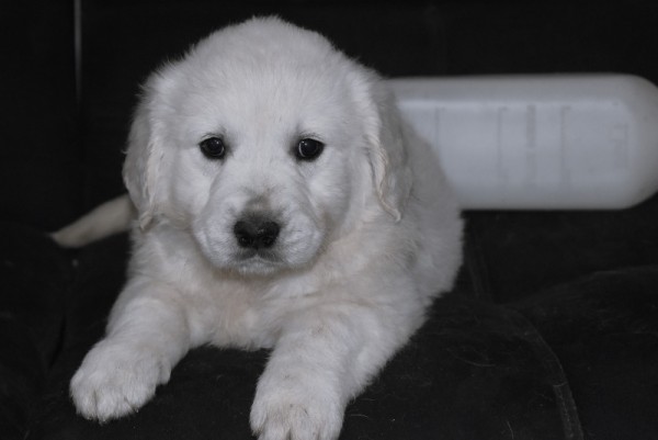 DSC_0002 - 복사본.JPG