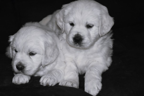 DSC_0055 - 복사본 (2).JPG