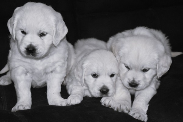 DSC_0056 - 복사본.JPG