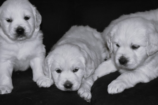 DSC_0058 - 복사본.JPG