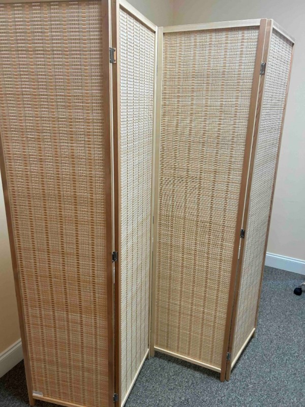 FoldingScreen.jpg
