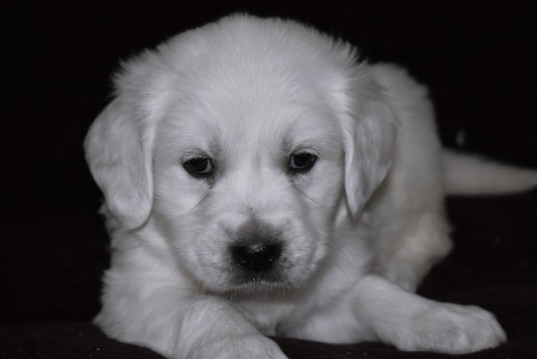 DSC_0005 - 복사본.JPG