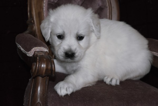 DSC_0013 - 복사본.JPG