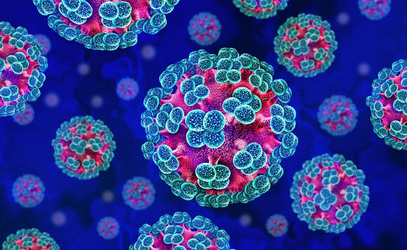 hanta-virus.jpeg