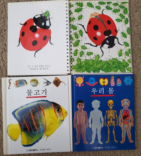 오르다_1.png
