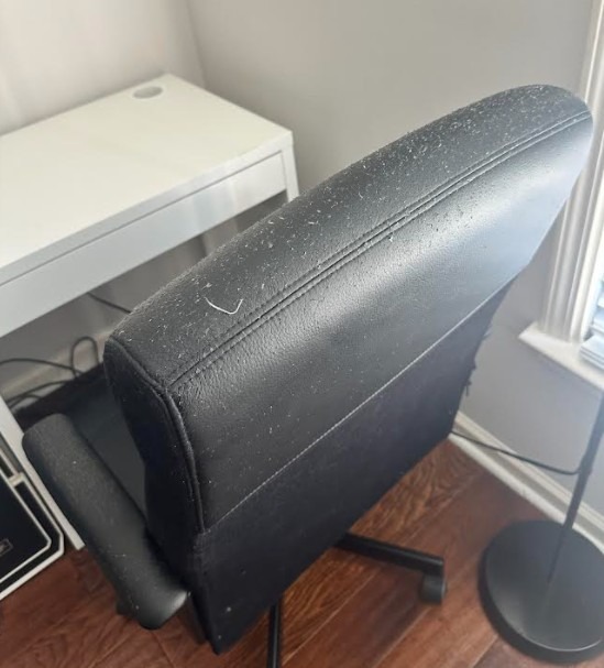 chair2.jpg