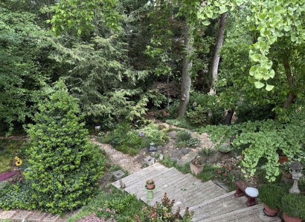 backyard.jpg