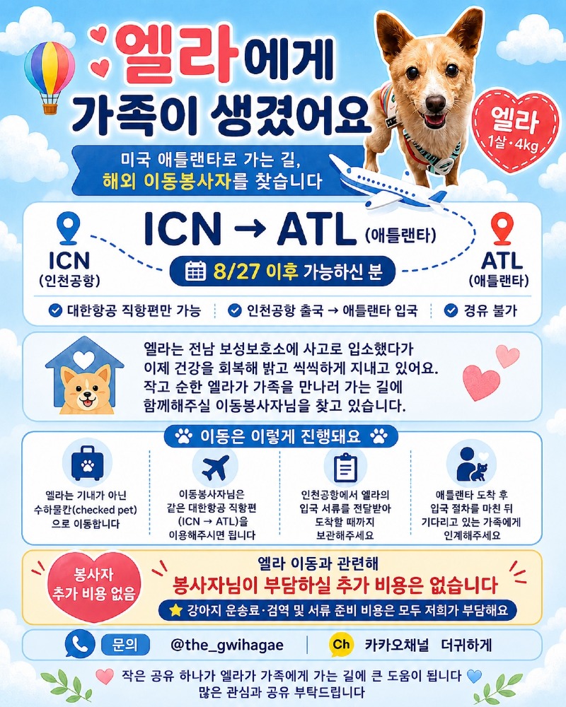 엘라.jpeg