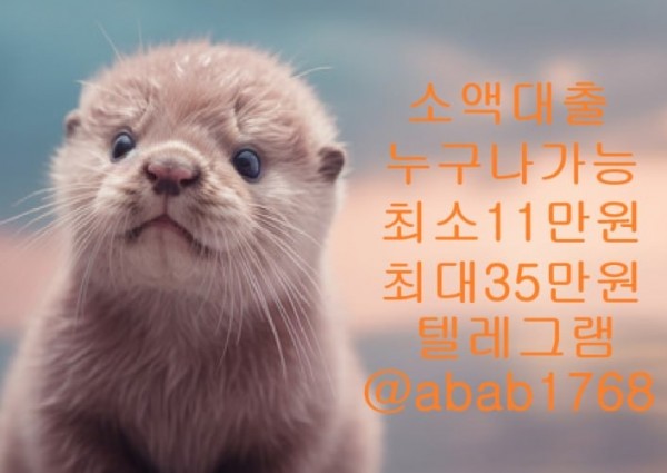 선불유심내구제 유심내구제 내구제 고액알바 급전 소액결제 소액대출 당일대출 비대면급전 가전내구제 상조내구제 (92).jpg