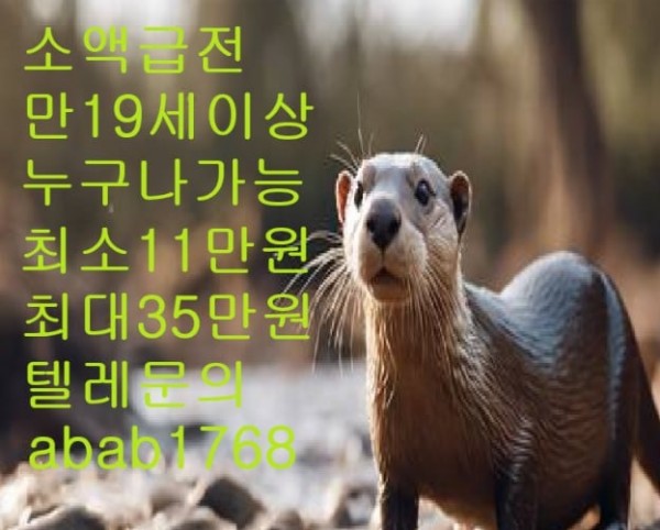 선불유심내구제 유심내구제 내구제 고액알바 급전 소액결제 소액대출 당일대출 비대면급전 가전내구제 상조내구제 (93).jpg